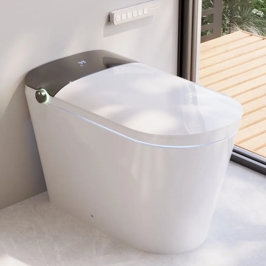 another one of the toilet images